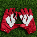 Wisconsin Gloves